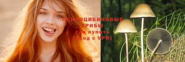 дмт Беломорск