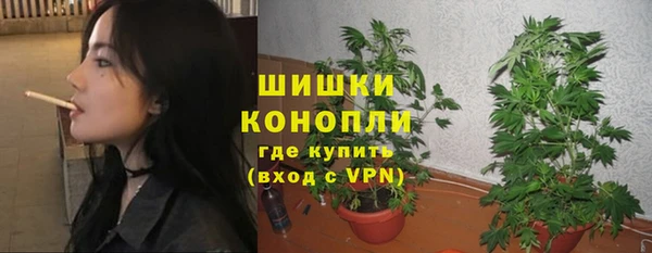 гидра Белоозёрский