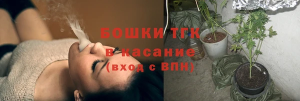 гидра Белоозёрский
