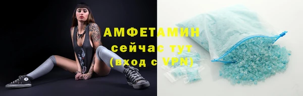 гидра Белоозёрский