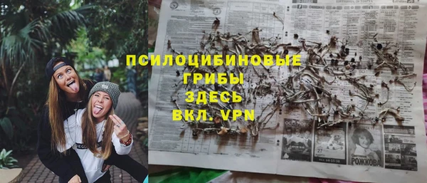 jwh Белокуриха